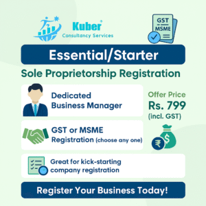 sole-proprietorship